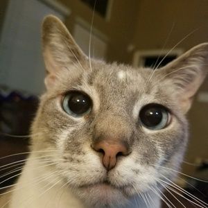 Meet your Posher, Jackie